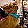 Chauncey