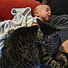 Leonidas joined the competition — help win amazing prizes! baby, infant, sleeping, cat, cats, tabby_cat, pet, blanket, couch, portrait, indoors, cozy, nap, relaxed, animal, furry, whiskers, red_cushion, gray_clothing, family_scene