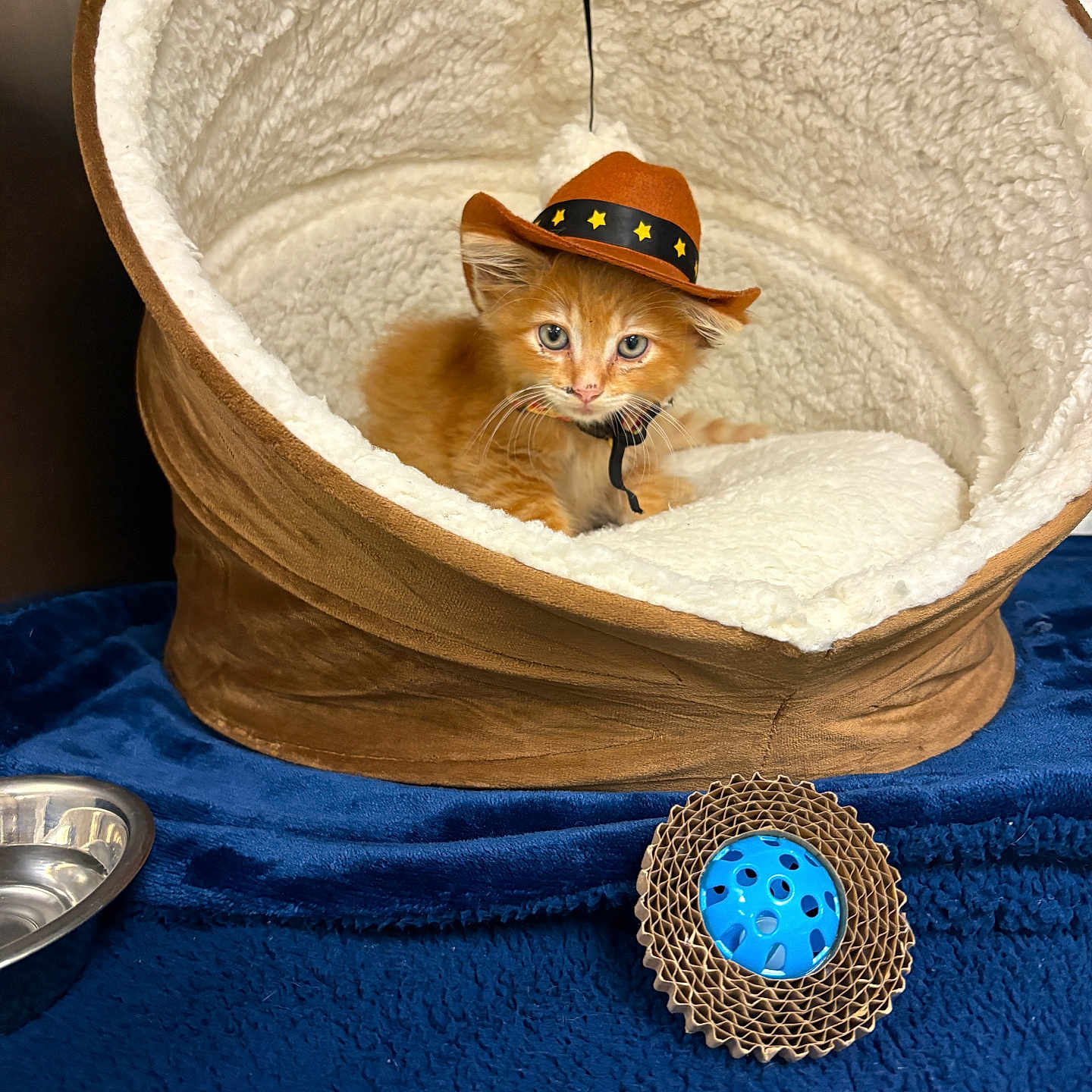 Texas Pete