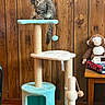 cat, gray_cat, fluffy, long_hair, pet, animal, cat_tree, scratching_post, playground, pom_pom, toy, stuffed_monkey, toy_car, wood_paneling, indoor, home, furniture, sitting, portrait, whiskers