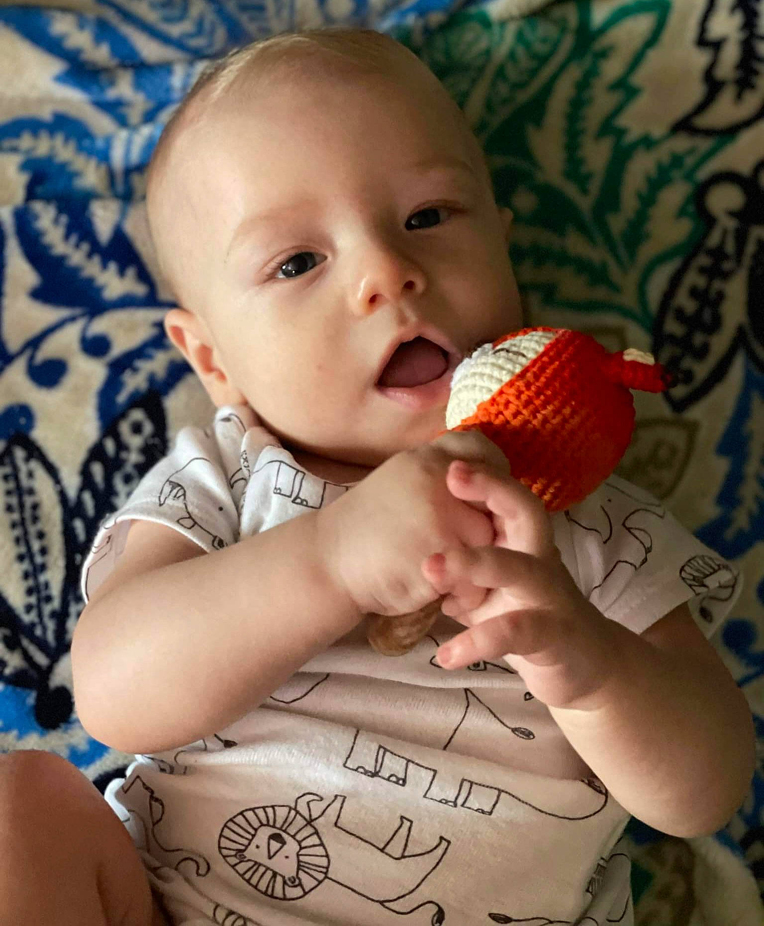 Holland is registered to the contest to win money with this photo: audio_equipment, baby, baby_toddler_clothing, beauty, blue, cheek, child, eyelash, finger, fruit, human, lip, microphone, mouth, nail, nose, pattern, person, skin, textile