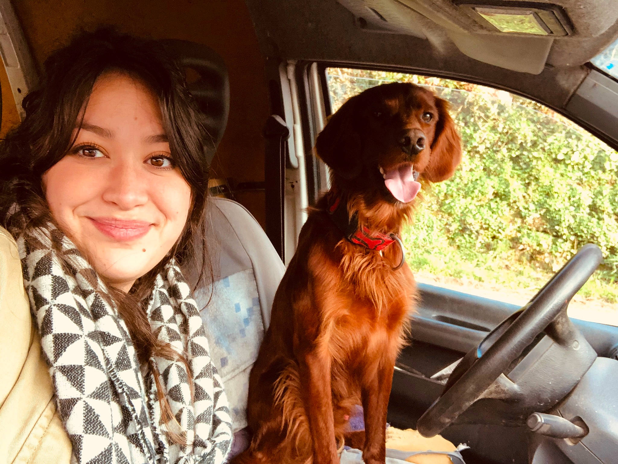 Malibu participe au concours pour gagner de l'argent avec cette photo : canidae, carnivore, companion_dog, dog, dog_breed, fawn, fun, irish_setter, long_hair, photography, setter, smile, sporting_group