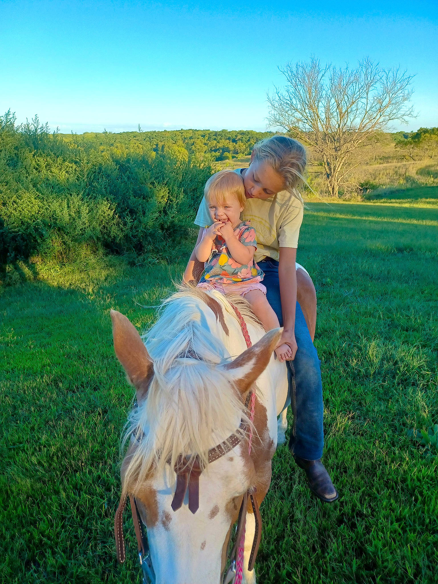 Londyn joined the competition — help win amazing prizes! blond, fawn, fun, grass, grassland, happy, horse, landscape, leisure, meadow, natural_landscape, pack_animal, pasture, people_in_nature, person, plant, prairie, recreation, sky, toddler