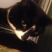 Harley joined the competition — help win amazing prizes!