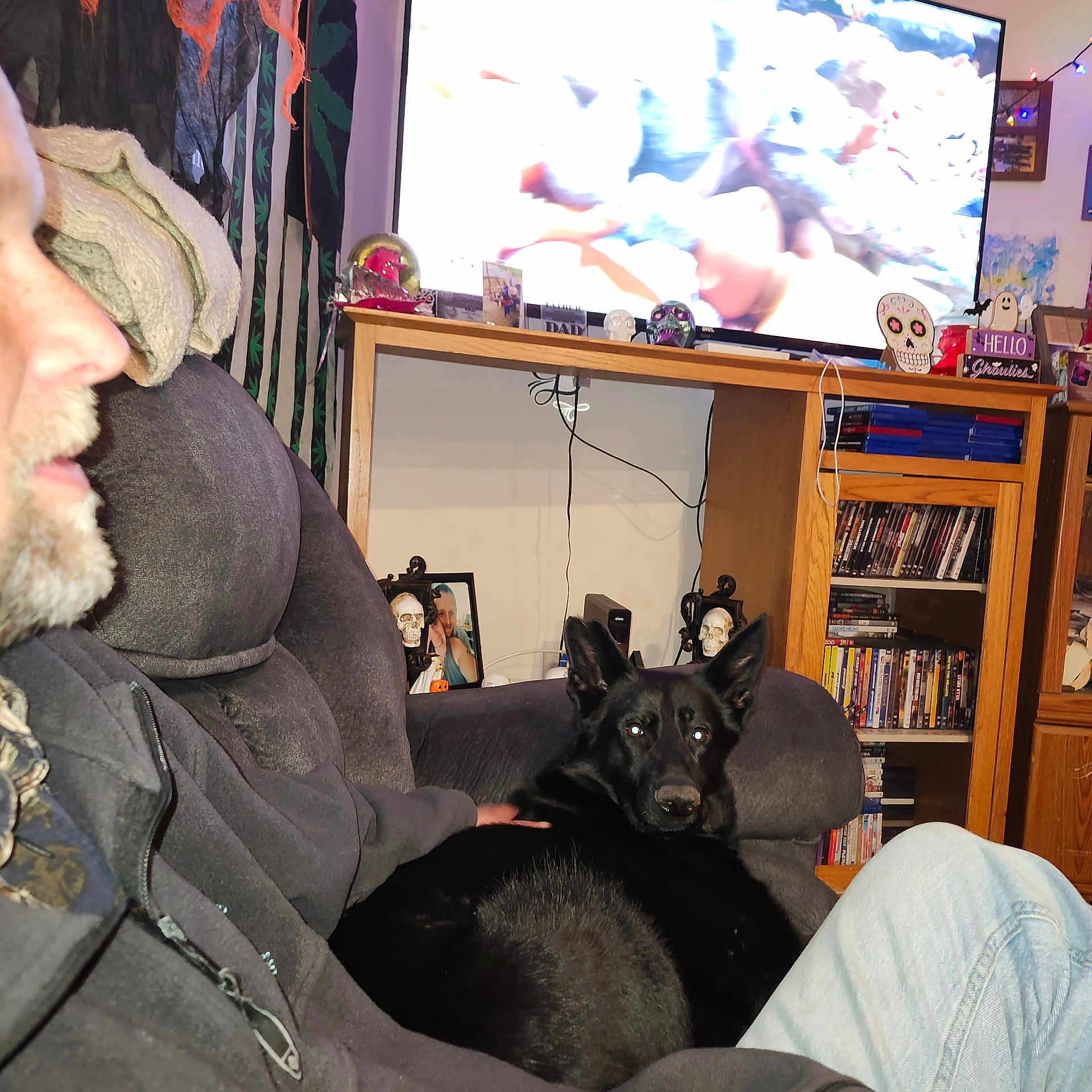 Penny joined the competition — help win amazing prizes! beard, black_dog, casual_clothing, couch, cozy, curious, decorations, dog, dvd_shelf, furniture, halloween, home, indoors, living_room, man, pet, relaxing, sitting, skull, television