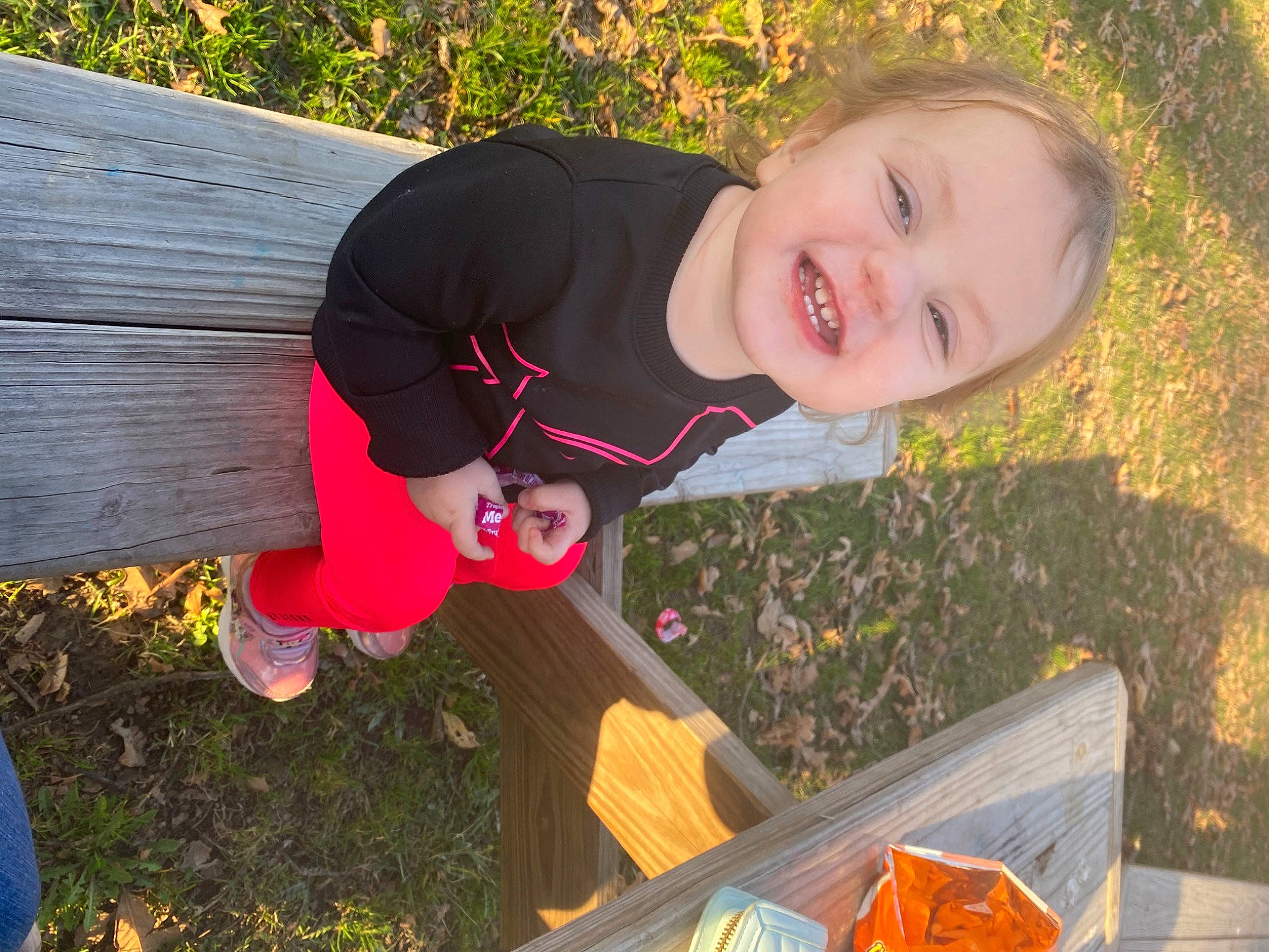 Adalyn Grace joined the competition — help win amazing prizes! baby_toddler_clothing, child, fun, grass, happy, joy, laugh, leisure, orange, people_in_nature, person, plant, play, recreation, smile, soil, t_shirt, toddler, tree, vacation