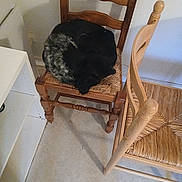 Dolly a rejoint le concours — aidez-le/la à gagner de superbes lots ! animal, black_cat, cat, chair, corner, cozy, curled_up, empty_chair, floor, furniture, gray_cat, home, indoor, peaceful, pet, quiet, resting, shelf, sleeping, wooden_chair