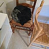 animal, black_cat, cat, chair, corner, cozy, curled_up, empty_chair, floor, furniture, gray_cat, home, indoor, peaceful, pet, quiet, resting, shelf, sleeping, wooden_chair