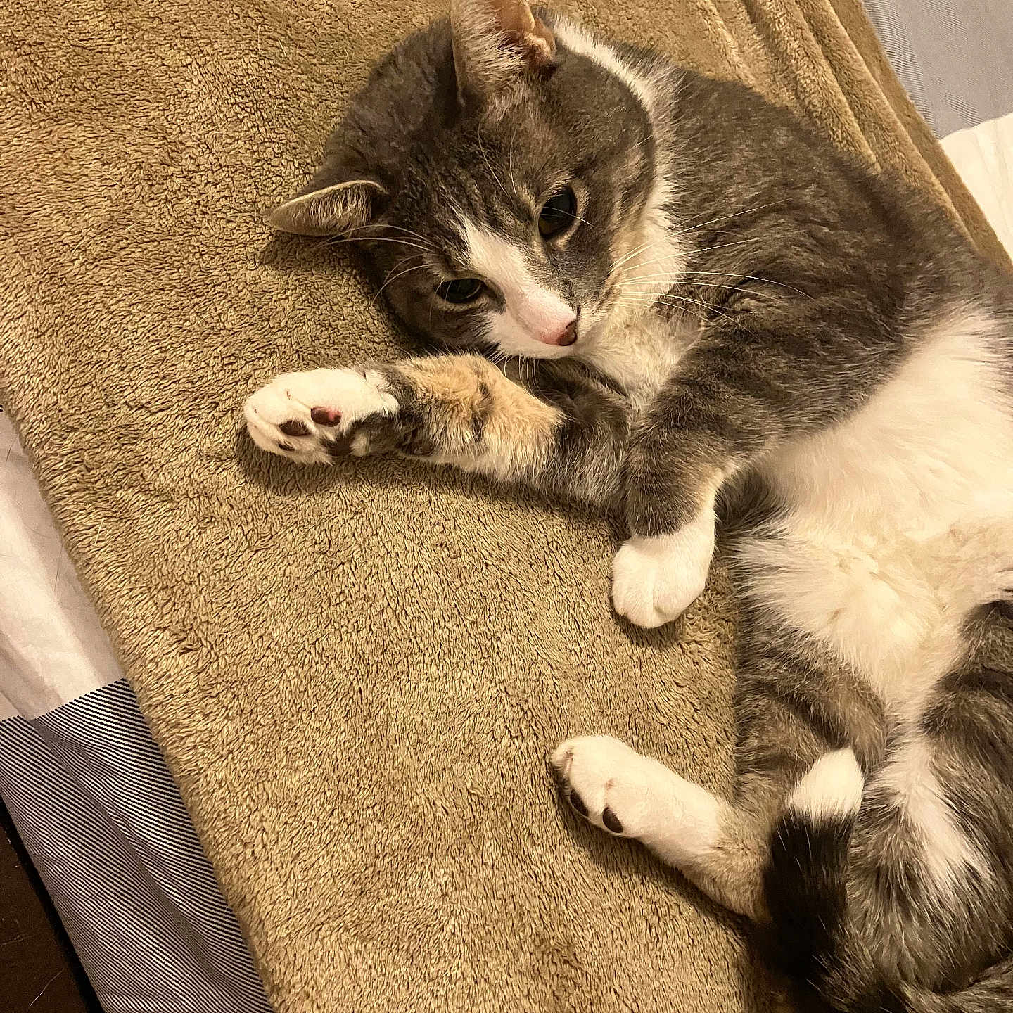 Aiko