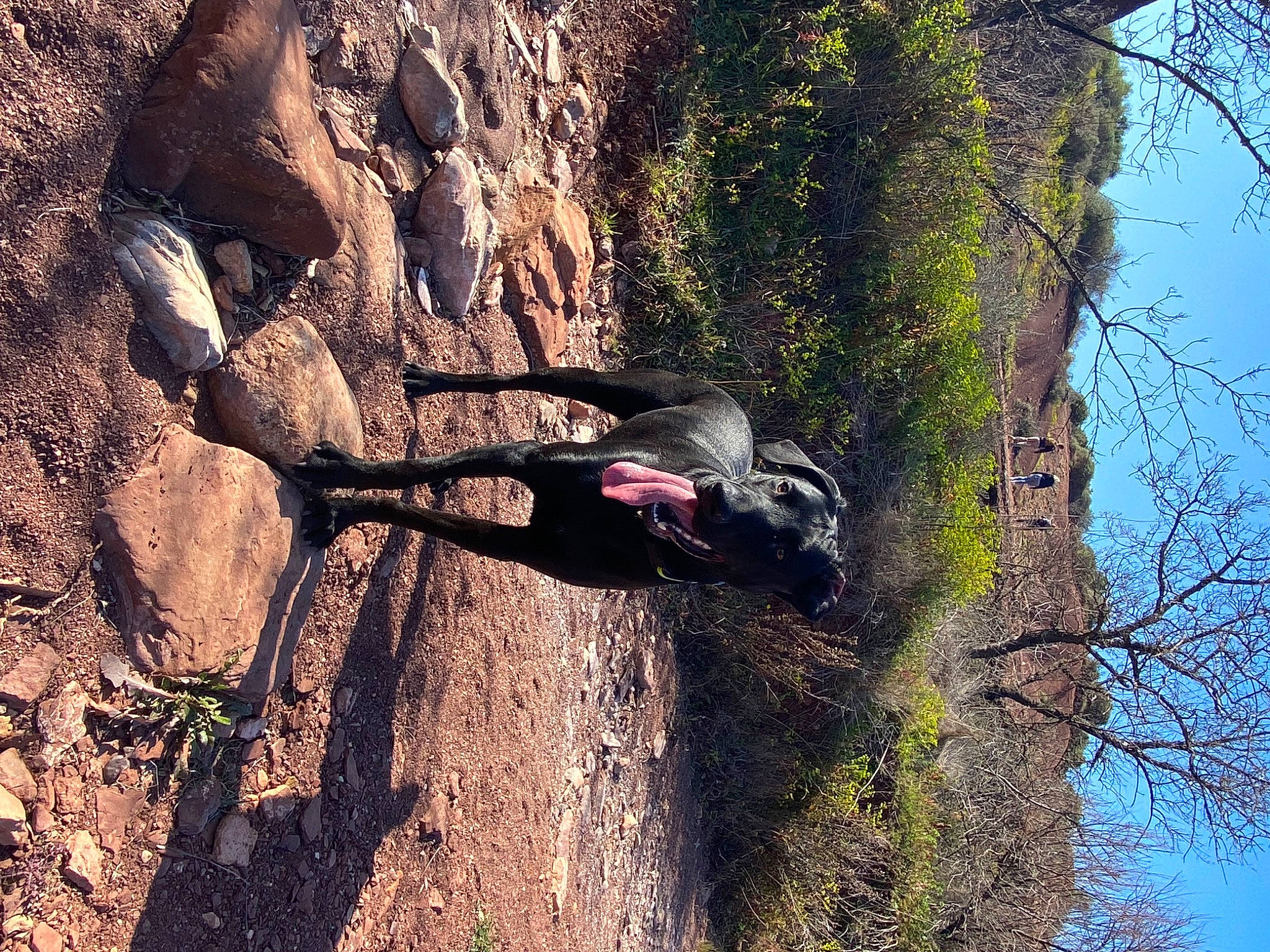 Kéto participe au concours pour gagner de l'argent avec cette photo : adventure, bedrock, escarpment, fault, forest, grass, landscape, leisure, outcrop, people_in_nature, plant, recreation, rock, sky, soil, tree, trunk, twig, wilderness, wood
