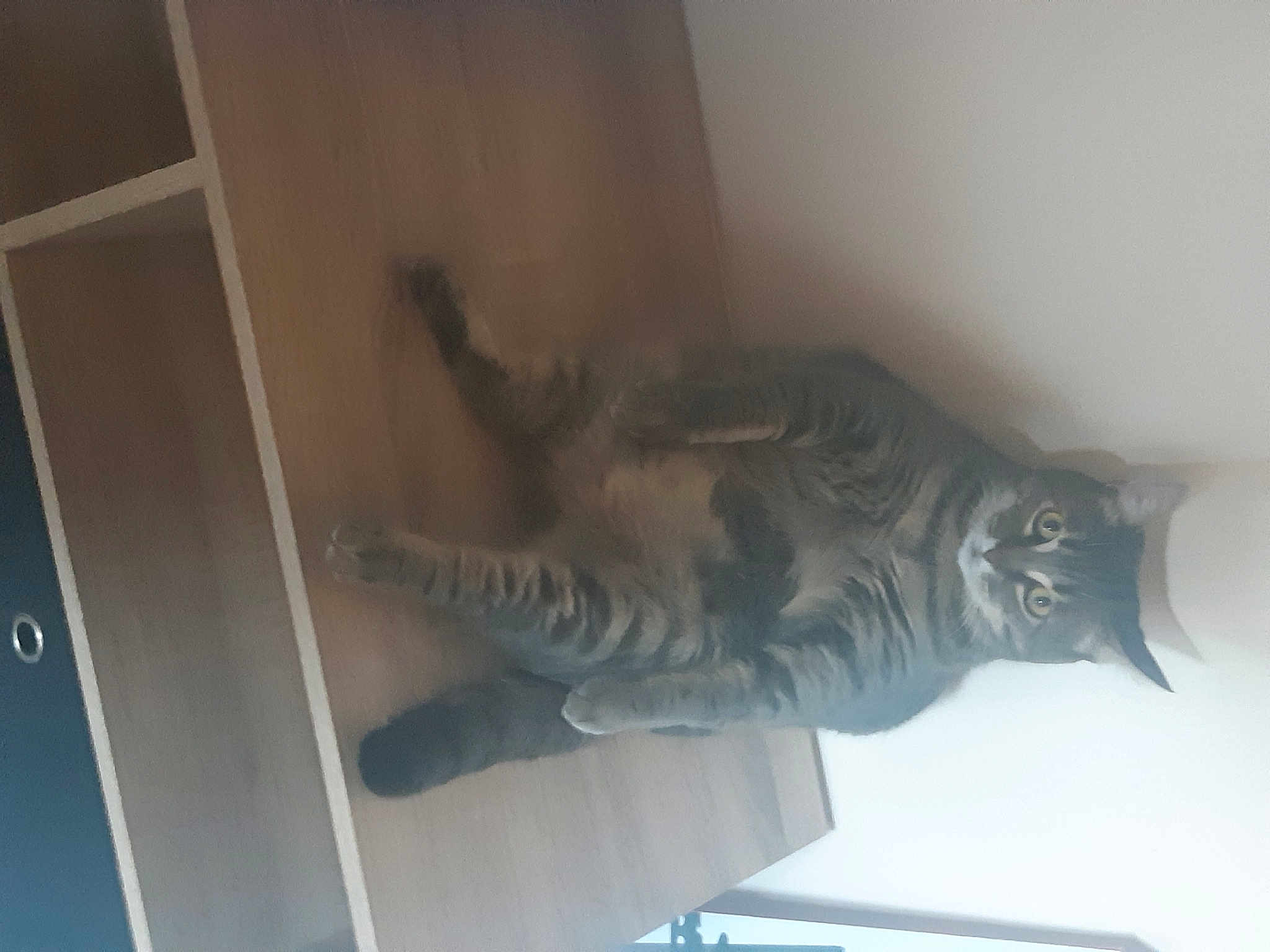 Olympe