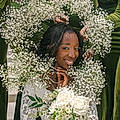 Julia D. F.