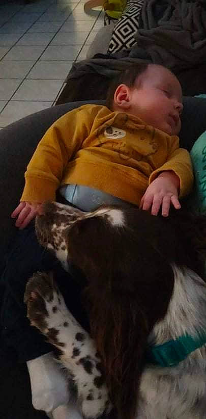 Rafaël participe au concours pour gagner de l'argent avec cette photo : baby, carnivore, child, comfort, companion_dog, couch, dog, dog_breed, ear, fawn, felidae, fun, fur, lap, mammal, person, small_to_medium_sized_cats, snout, tail, toddler