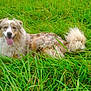 Gibbs participe au concours pour gagner de l'argent avec cette photo :
