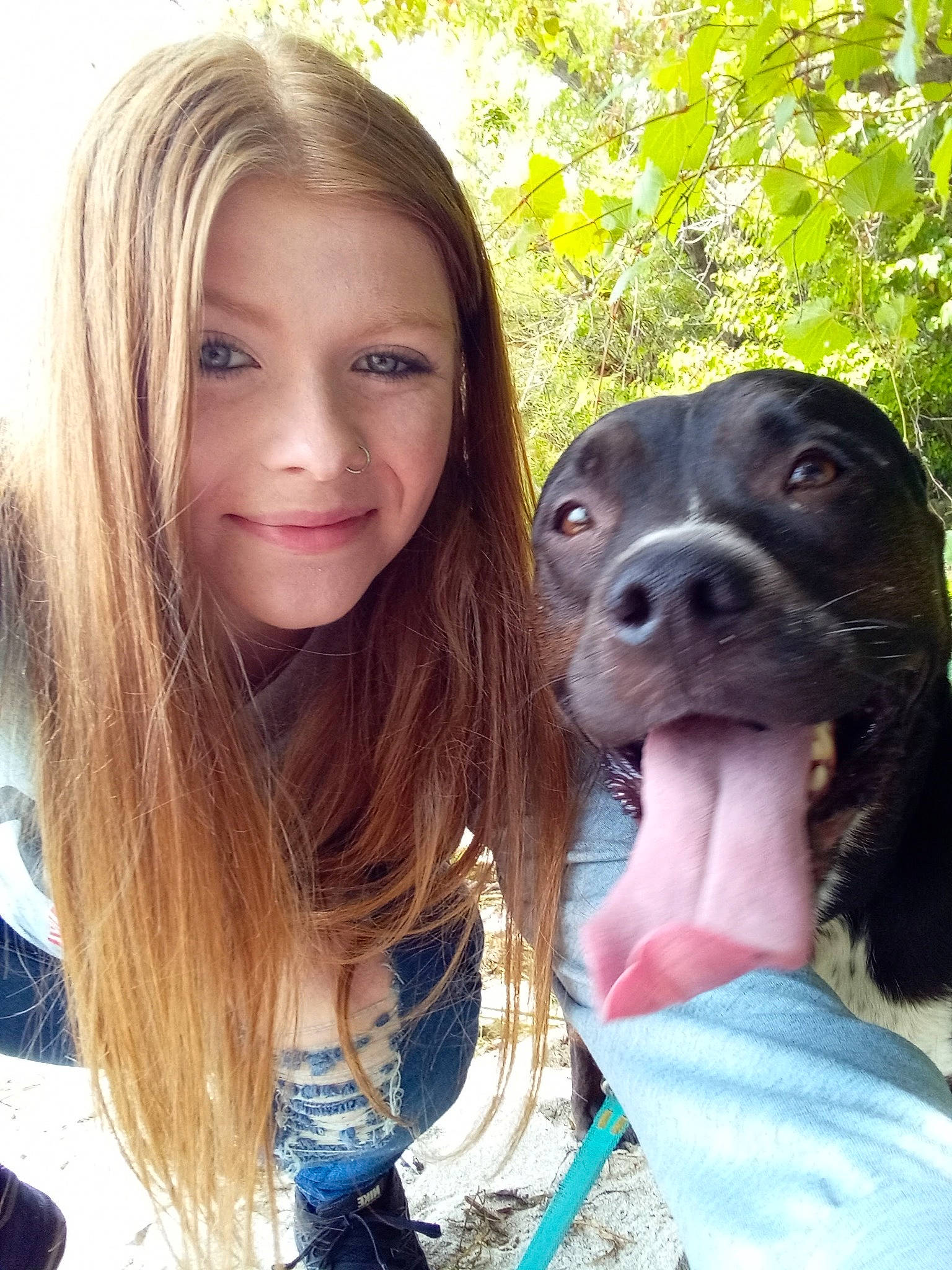 Roxanne joined the competition — help win amazing prizes! adventure, brown_hair, canidae, carnivore, companion_dog, dog, dog_breed, eyelash, fawn, fun, fur, happy, layered_hair, leisure, plant, portrait_photography, recreation, smile, sporting_group, tree