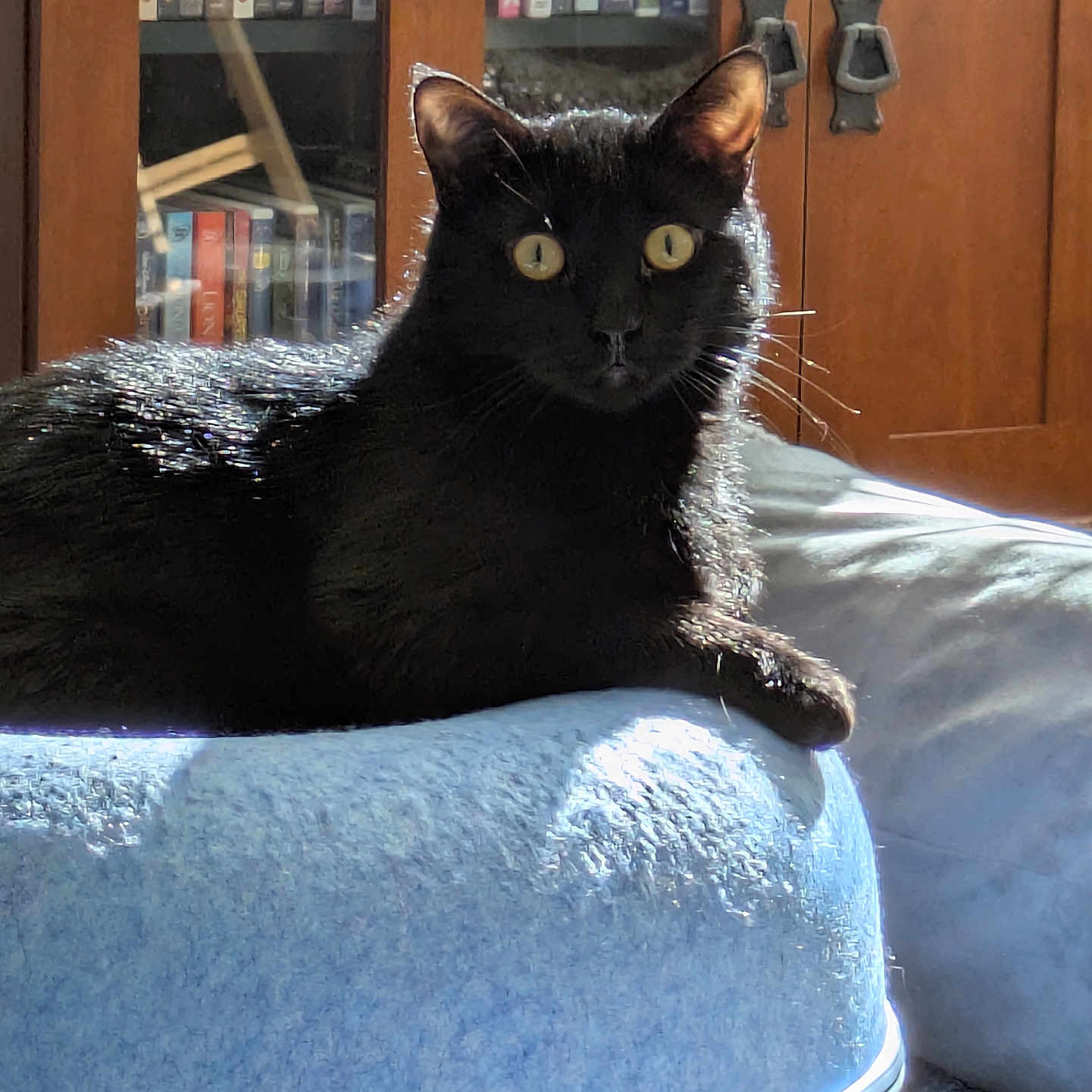 Onyx