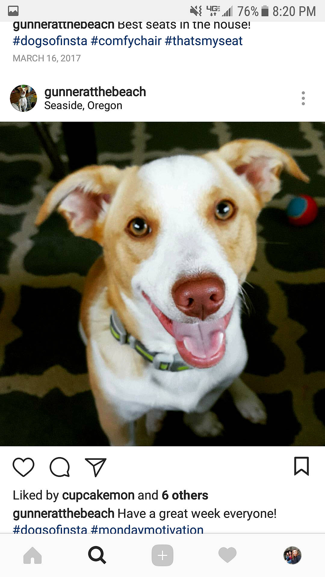 Gunnar is registered to the contest to win money with this photo: american_pit_bull_terrier, canidae, carnivore, companion_dog, dog, dog_breed, nose, photo_caption, photography, pit_bull, puppy, rare_breed_dog, snout, street_dog