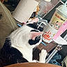 cat, black_and_white, feline, indoor, table, lamp, drink_cup, anime_art, disneyland_mug, clutter, furniture, couch, curious, pet, domestic_animal, household_items, paper, toy, relaxing, cozy