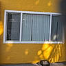 animal, blinds, box, building, car, cat, curious, curtain, daylight, floor, glass, home, outdoor, pet, reflection, shadow, sunlight, texture, window, yellow_wall