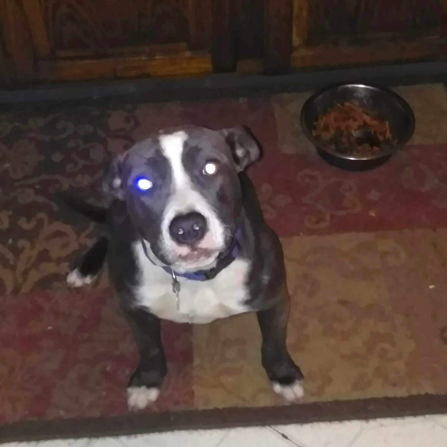Daisy
