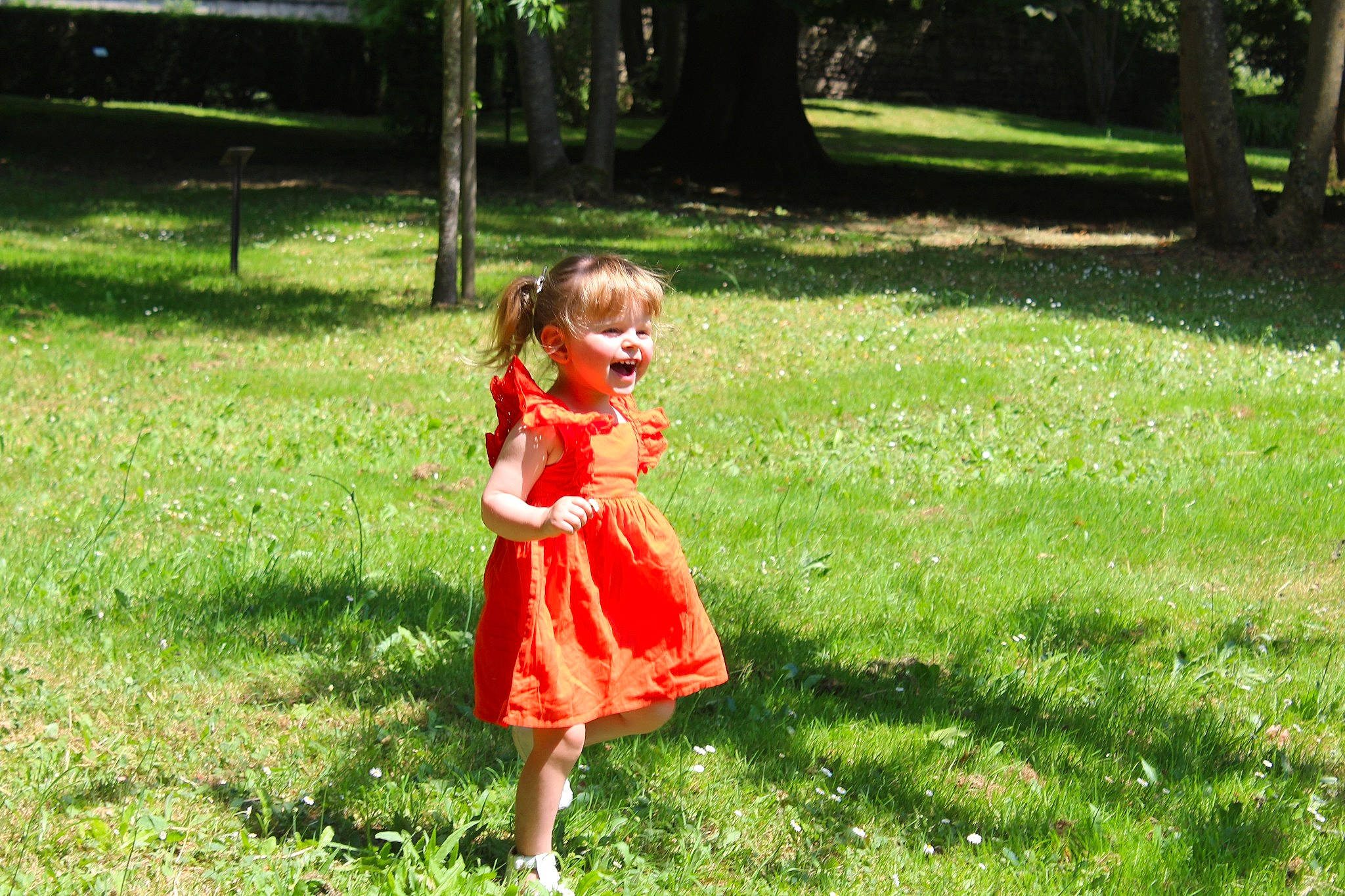 Lola participe au concours pour gagner de l'argent avec cette photo : baby, baby_toddler_clothing, botany, day_dress, dress, garden, grass, grass_family, grassland, groundcover, happy, lawn, leaf, meadow, one_piece_garment, people_in_nature, person, plant, recreation, toddler
