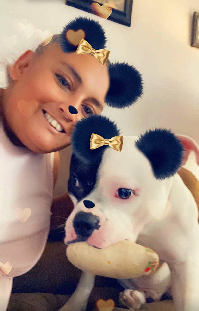 Jewels is registered to the contest to win money with this photo: carnivore, dog, ear, eye, eyelash, face, fawn, gesture, hair, happy, head, human_body, iris, mammal, nose, skin, smile, vertebrate, white, working_animal