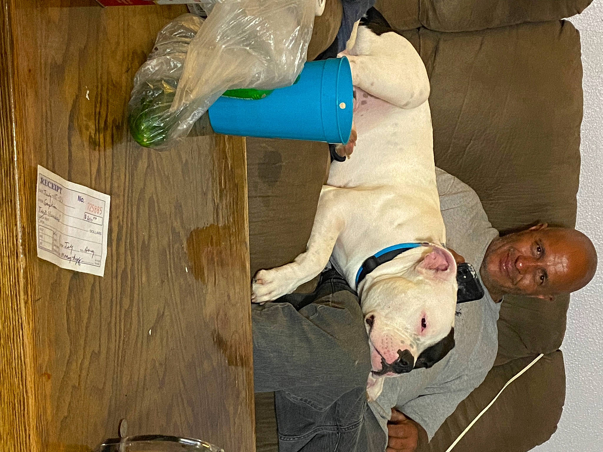 Jewels is registered to the contest to win money with this photo: child, comfort, companion_dog, hardwood, plastic_bag, smile, sporting_group, tree, wood, wrist