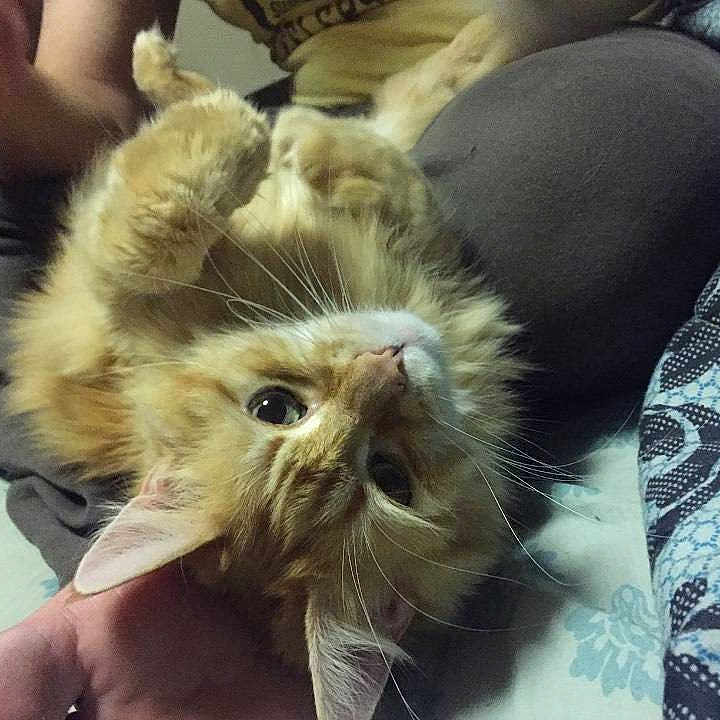 Coda joined the competition — help win amazing prizes!