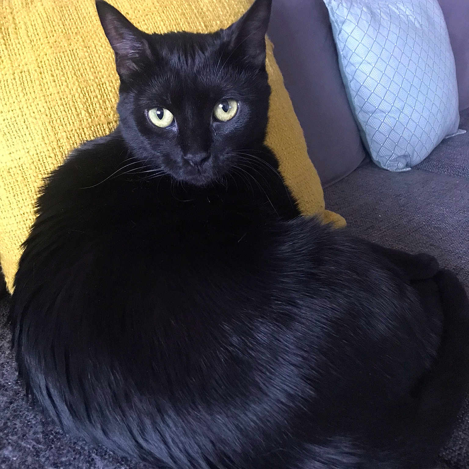 Sakina