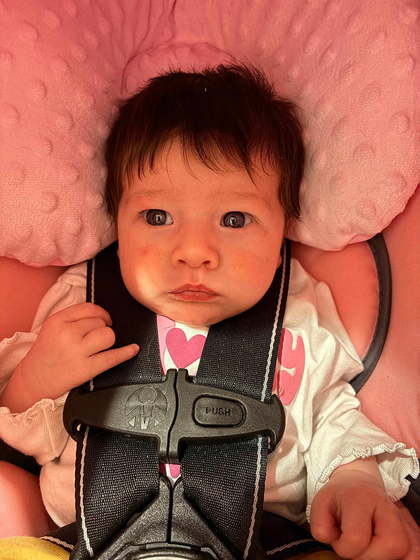 Edyn joined the competition — help win amazing prizes! baby, infant, child, car_seat, harness, buckle, pink_background, pillow, blanket, big_eyes, dark_hair, hand, white_clothes, close_up, portrait, straps, cute_expression, seatbelt, soft_fabric, indoors