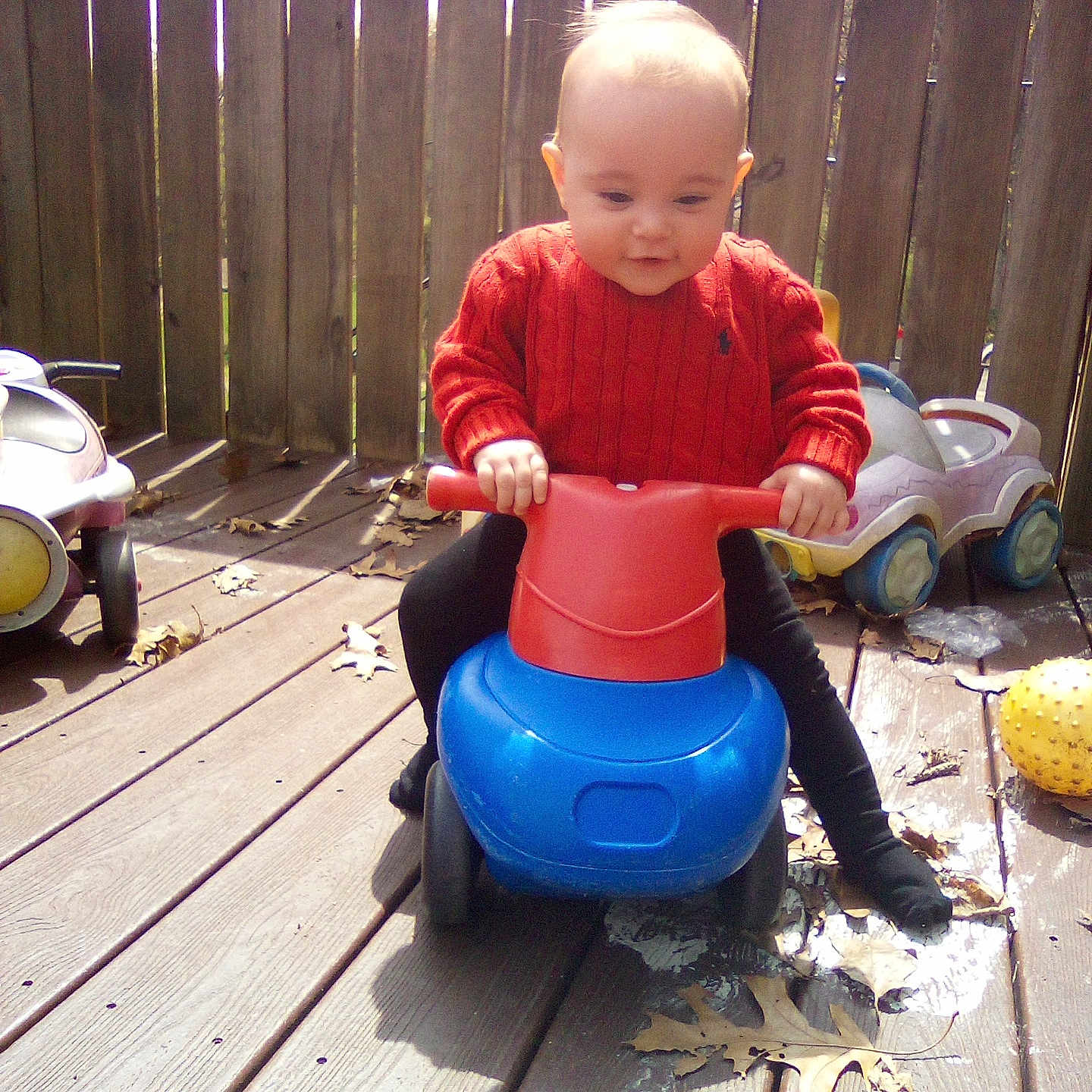 Dolly is registered to the contest to win money with this photo: toddler, child, toy, ride_on_toy, red_sweater, outdoor, wooden_deck, leaves, play, baby, plastic_toy, concentration, sunlight, casual_clothing, footwear, fence, daytime, person, cute, fun