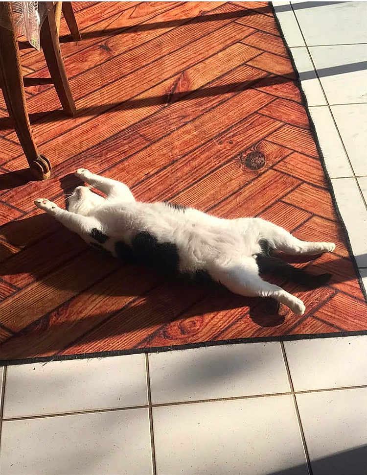 Monsieur Pons