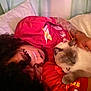 Bean joined the competition — help win amazing prizes! person, cat, bed, blanket, indoor, sleeping, snuggling, curly_hair, tattoo, red_shirt, pet, animal, resting, cozy, comfort, human, face, hand, fur, cute