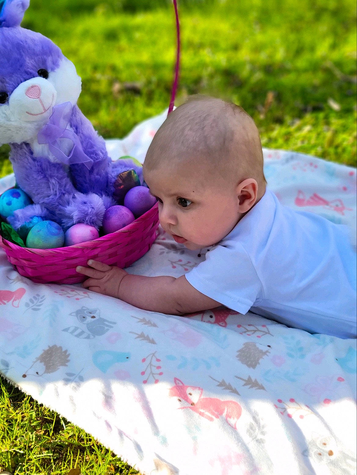 Rose Iman is registered to the contest to win money with this photo: baby, baby_products, baby_toddler_clothing, basket, beauty, blue, child, fun, grass, happy, leaf, leisure, natural_foods, people_in_nature, person, picnic, plant, product, recreation, summer
