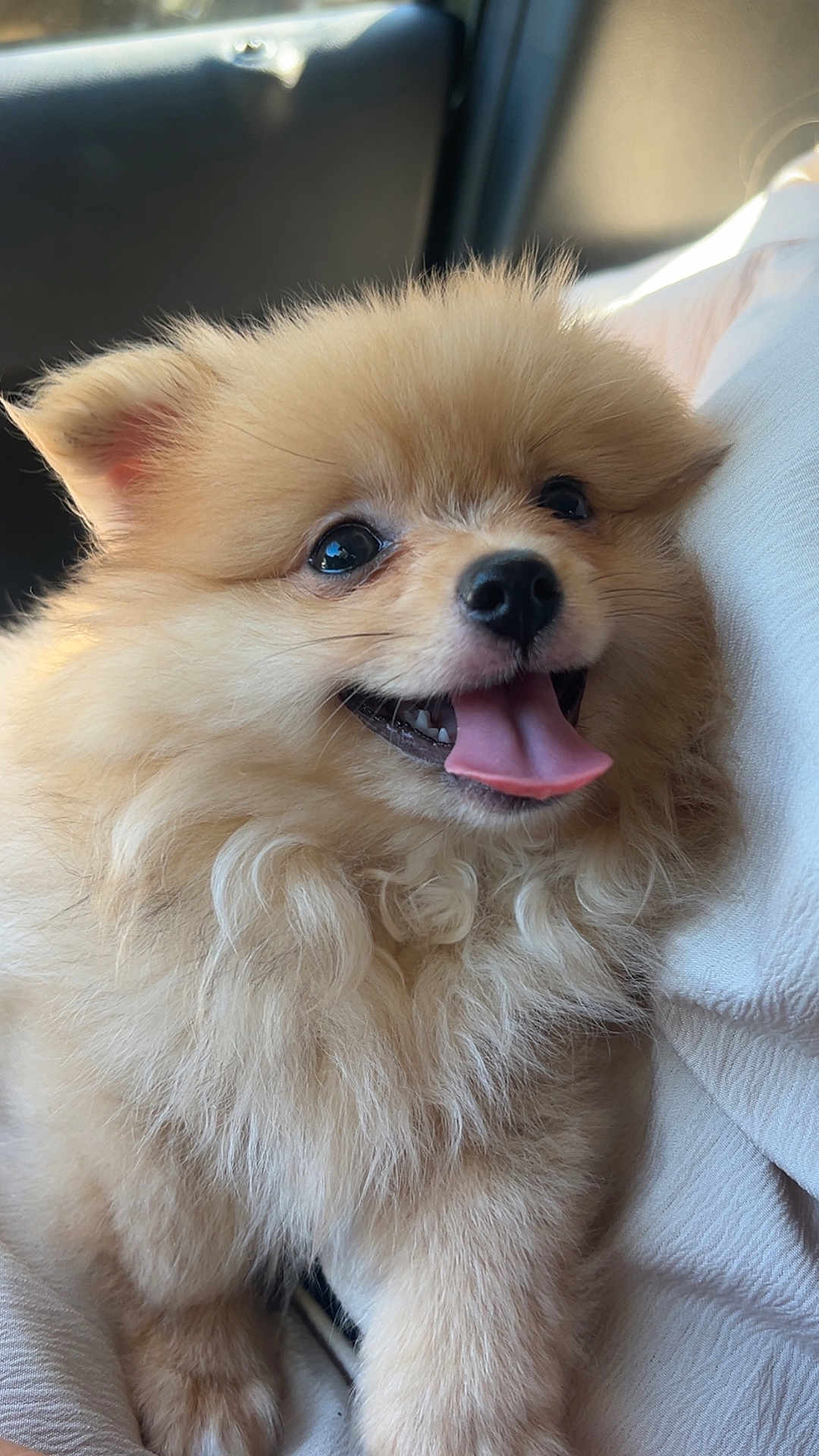 Ava