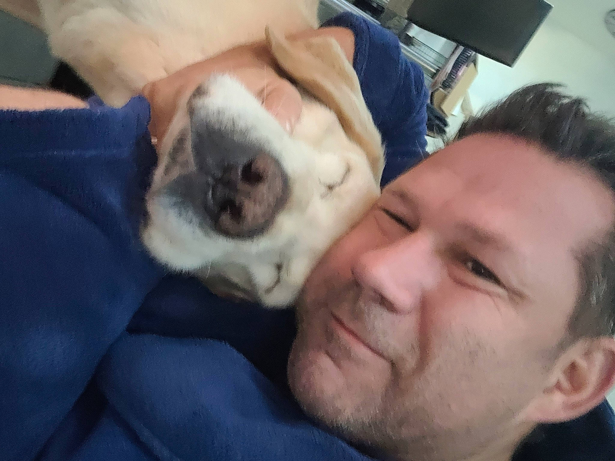 Marley a rejoint le concours — aidez-le/la à gagner de superbes lots ! beard, canidae, carnivore, comfort, companion_dog, dog, dog_breed, ear, fawn, fur, happy, jaw, nap, nose, puppy_love, selfie, smile, snout, sporting_group, whiskers