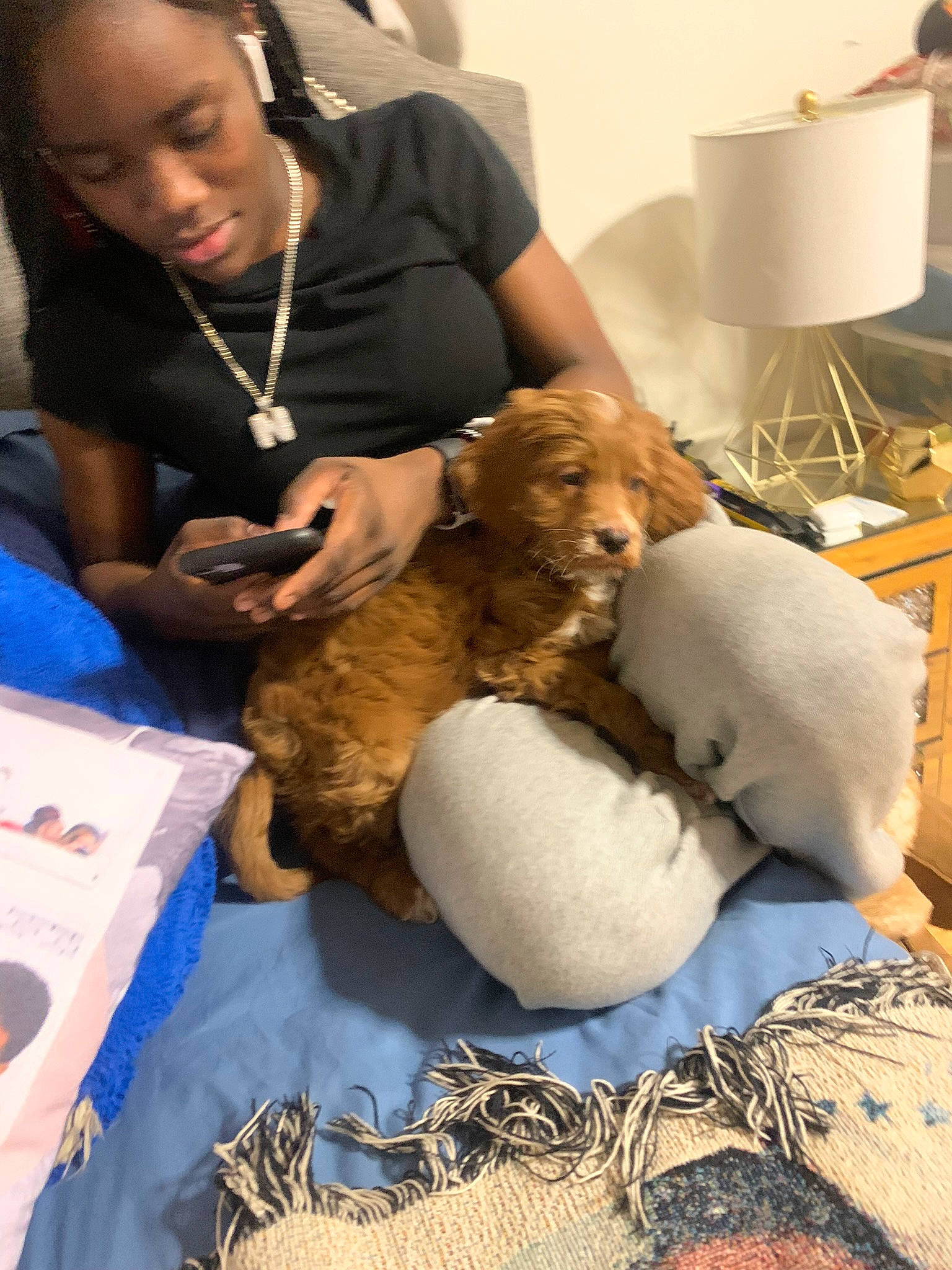 Champ is registered to the contest to win money with this photo: canidae, carnivore, child, comfort, companion_dog, dog, dog_breed, event, eyewear, fawn, fur, goat, jewellery, livestock, necklace, sporting_group, stuffed_toy, toy, veterinarian, working_animal