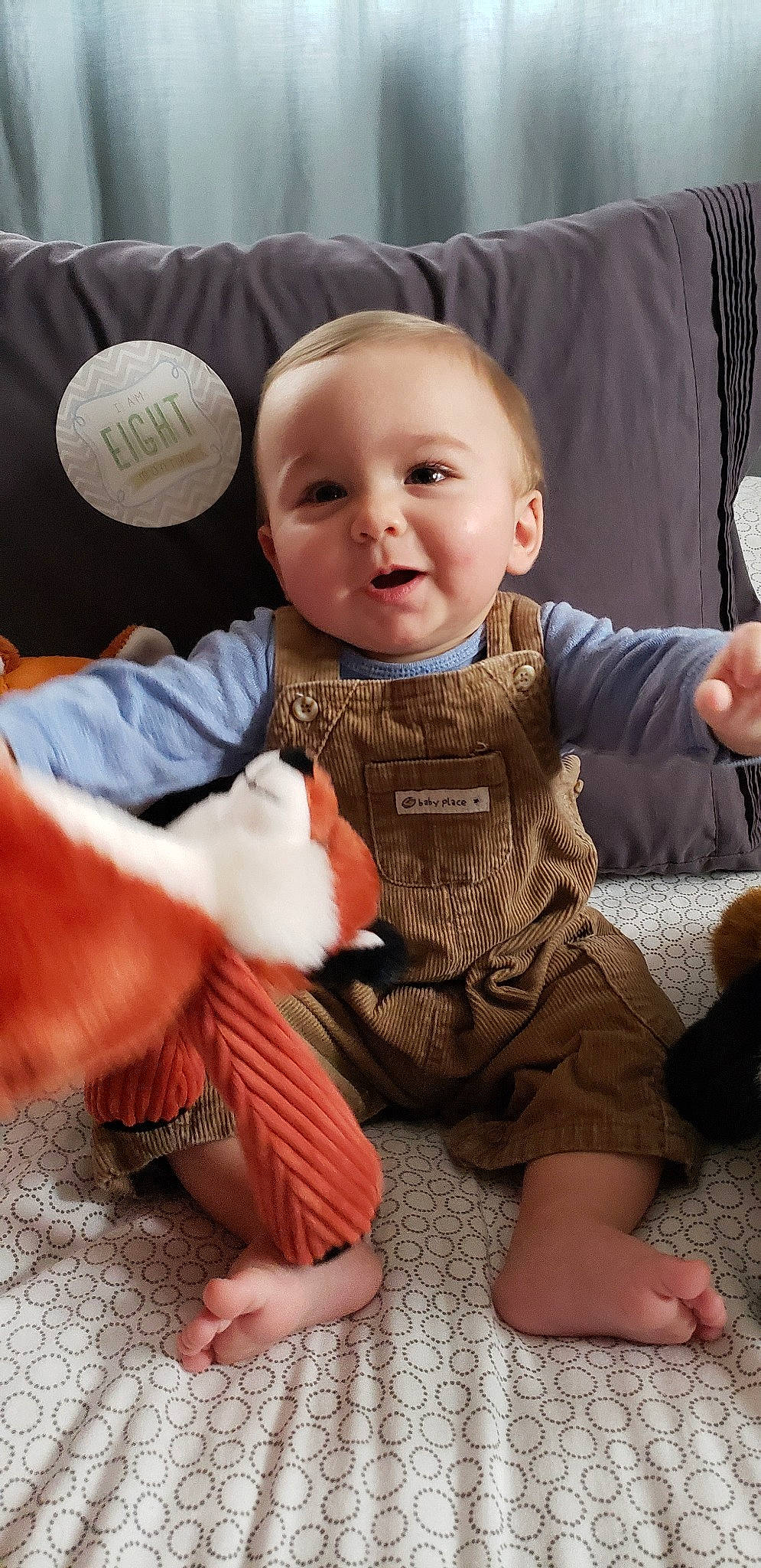 Fox is registered to the contest to win money with this photo: baby, baby_toddler_clothing, cheek, child, person, play, sitting, skin, smile, toddler