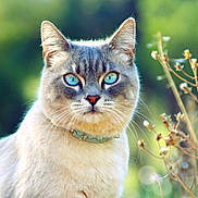 Léo participe au concours pour gagner de l'argent avec cette photo :