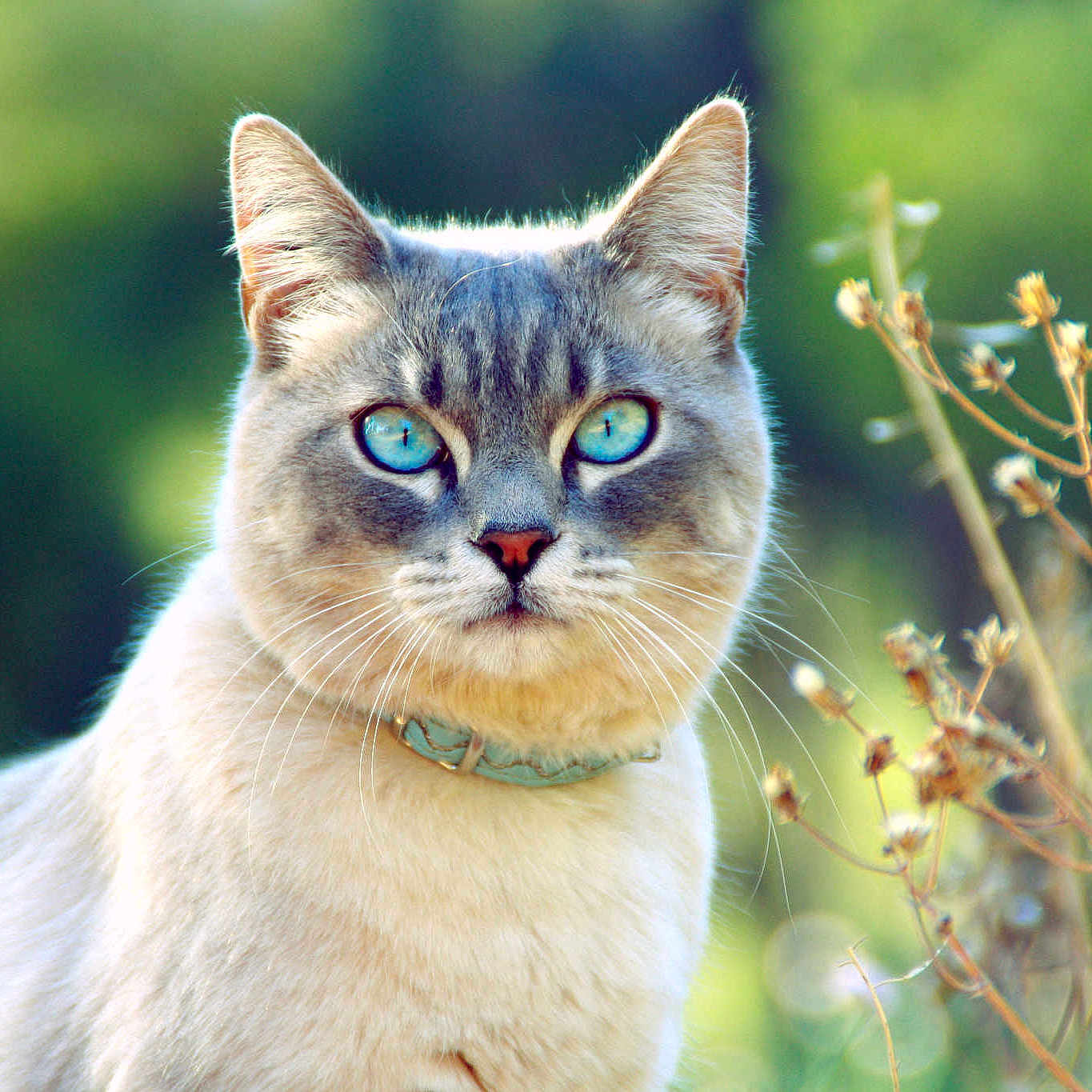 Léo participe au concours pour gagner de l'argent avec cette photo :