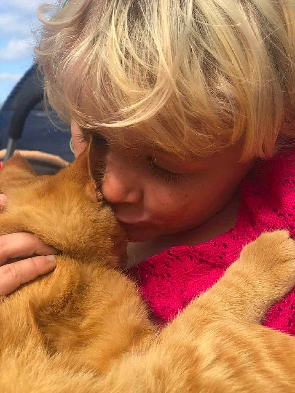 Embyr joined the competition — help win amazing prizes! blond, carnivore, close_up, comfort, companion_dog, dog, dog_breed, ear, fawn, finger, gesture, happy, interaction, kiss, mouth, nose, person, skin, snout, sporting_group