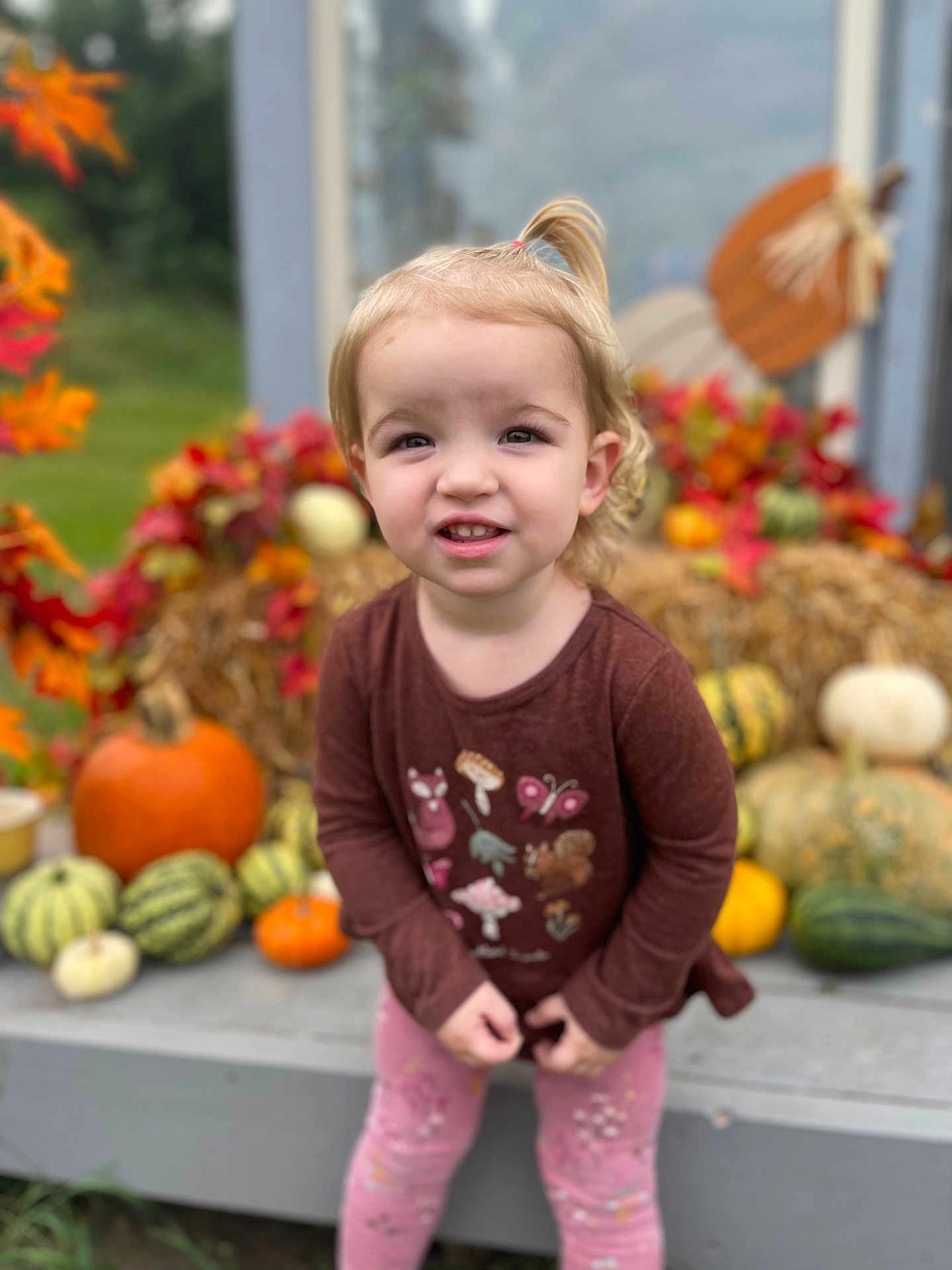 Faith is registered to the contest to win money with this photo: child, toddler, portrait, smile, pumpkins, autumn, fall_decor, hay_bale, gourds, outdoor, shallow_depth_of_field, bokeh, casual_clothing, ponytail, bench, seasonal, harvest, pink_leggings, brown_shirt, happy