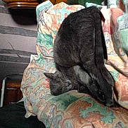 Lilou participe au concours pour gagner de l'argent avec cette photo :