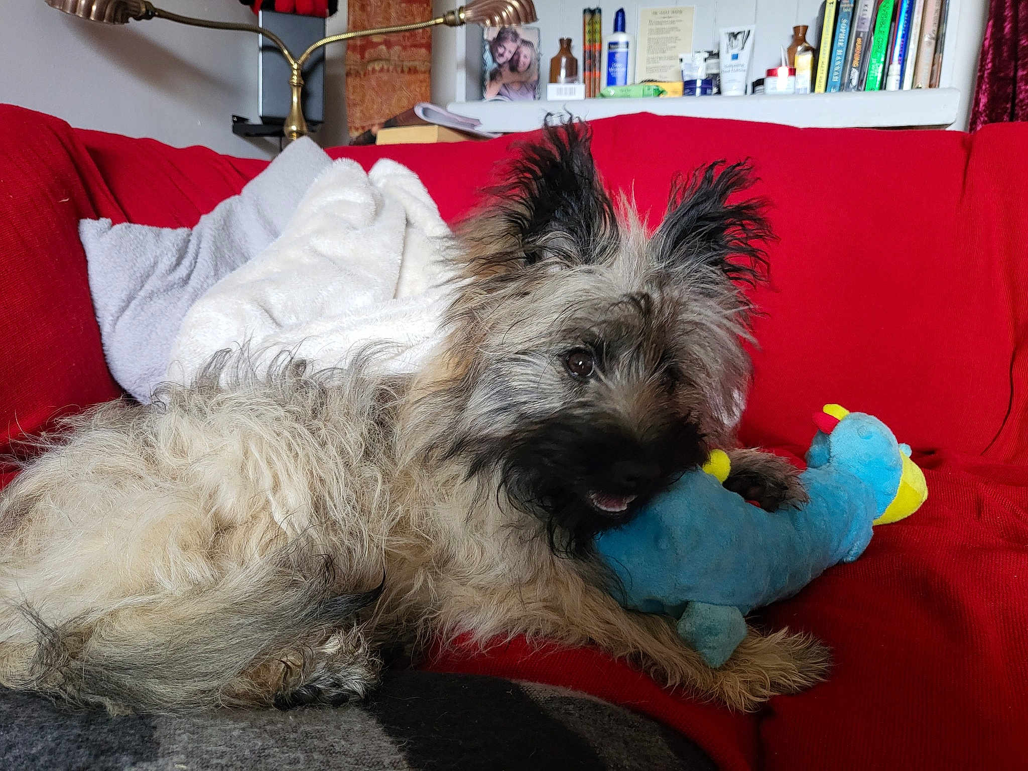 Skye