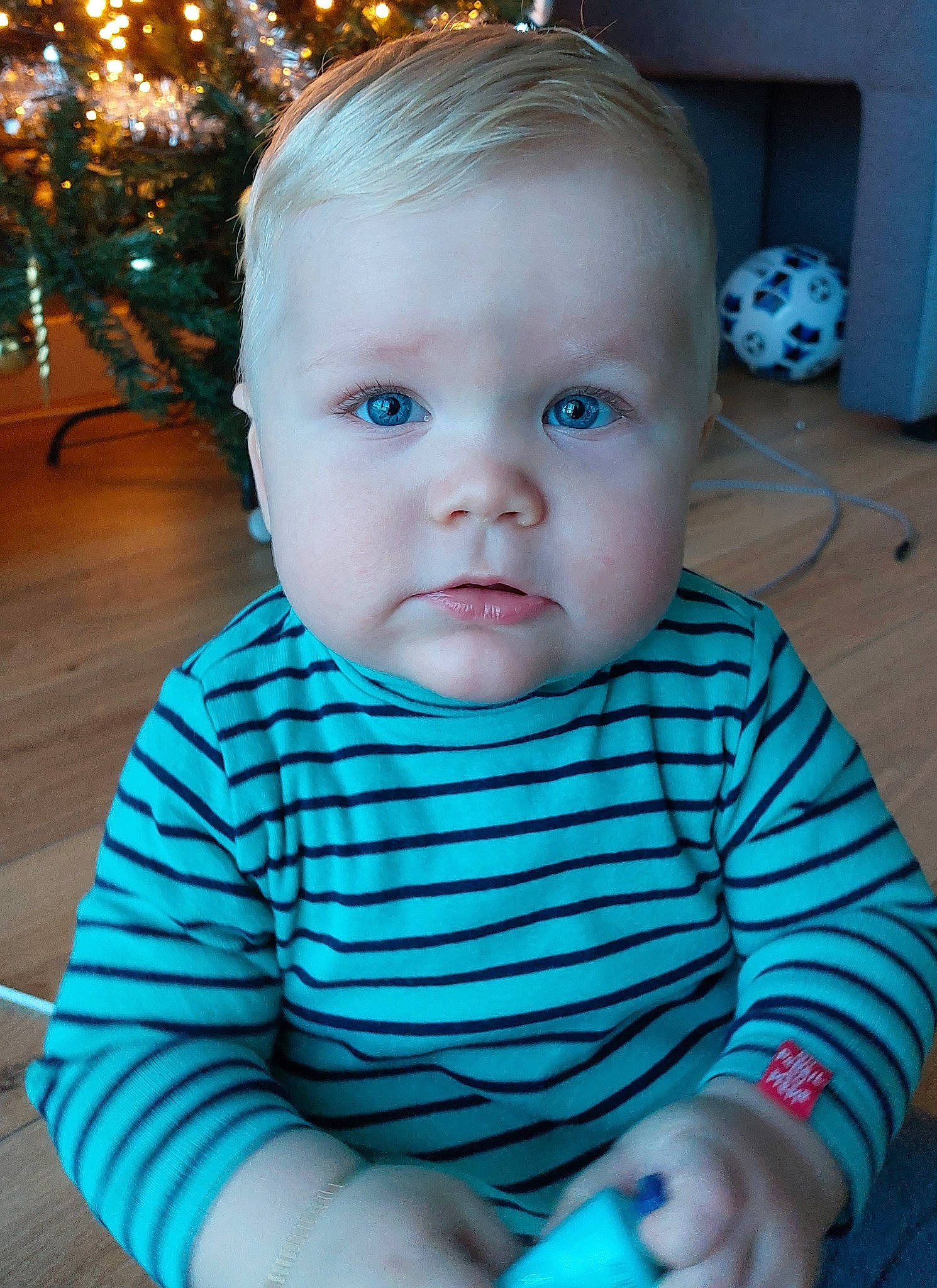 Maxim a rejoint le concours — aidez-le/la à gagner de superbes lots ! baby, baby_toddler_clothing, blue, cheek, child, christmas_tree, event, eye, fun, happy, head, iris, nose, person, sitting, skin, sleeve, t_shirt, toddler, white