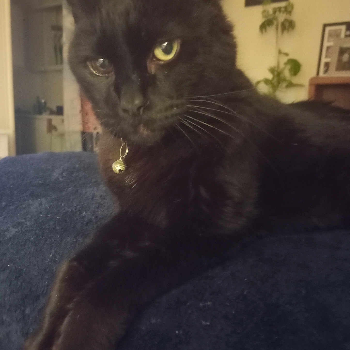 Marley