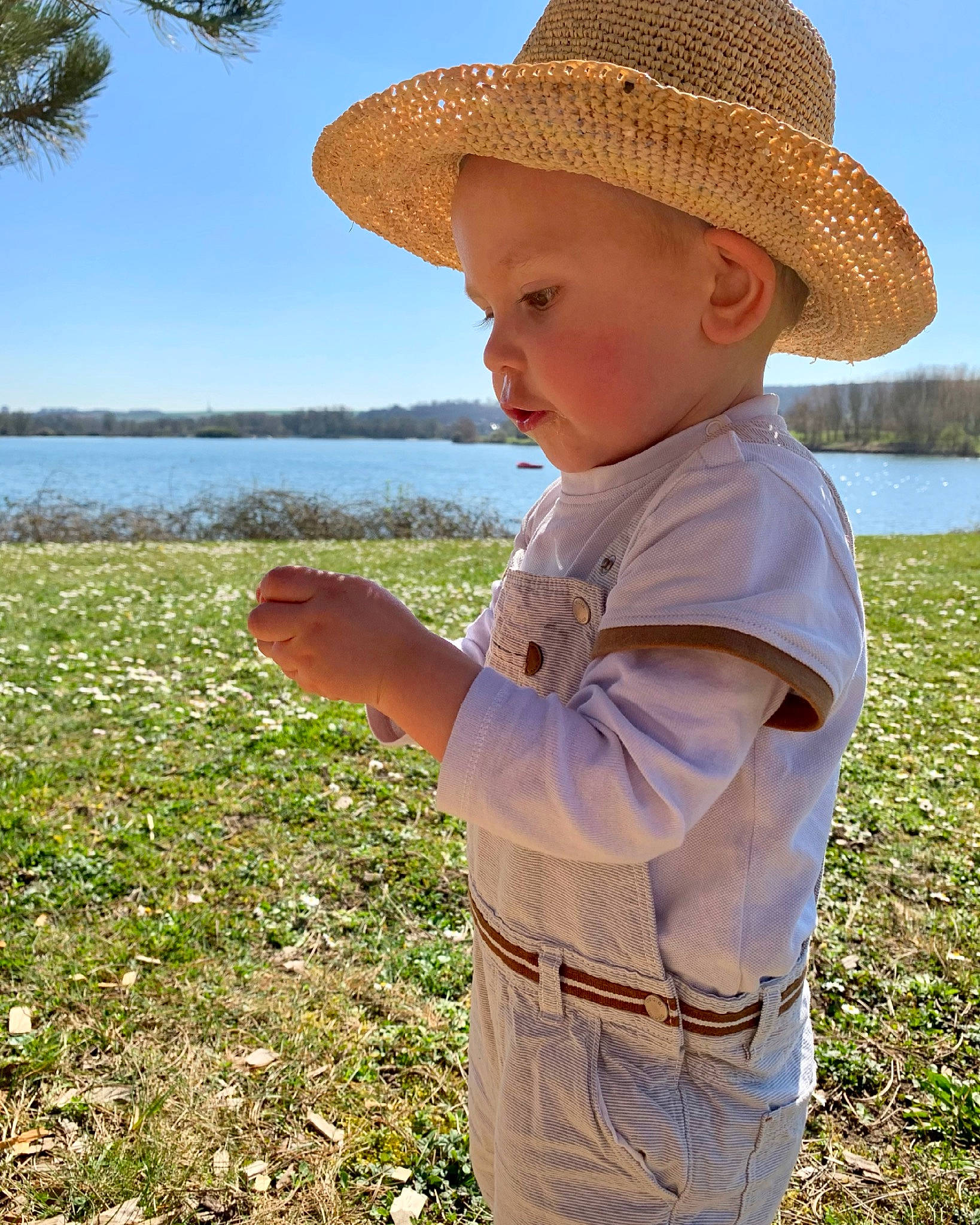Tim participe au concours pour gagner de l'argent avec cette photo : child, eye, face, grass, grass_family, grassland, happy, hat, headgear, landscape, light, people_in_nature, person, plant, sky, summer, sun_hat, sunlight, toddler, tree