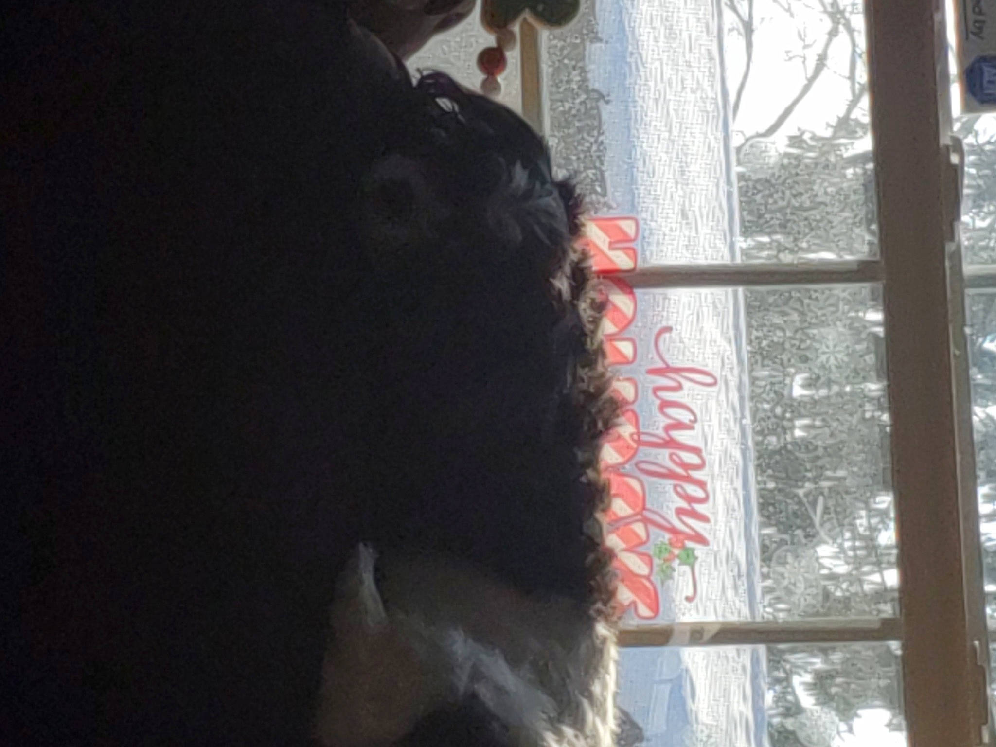 Jazz is registered to the contest to win money with this photo: black_hair, window