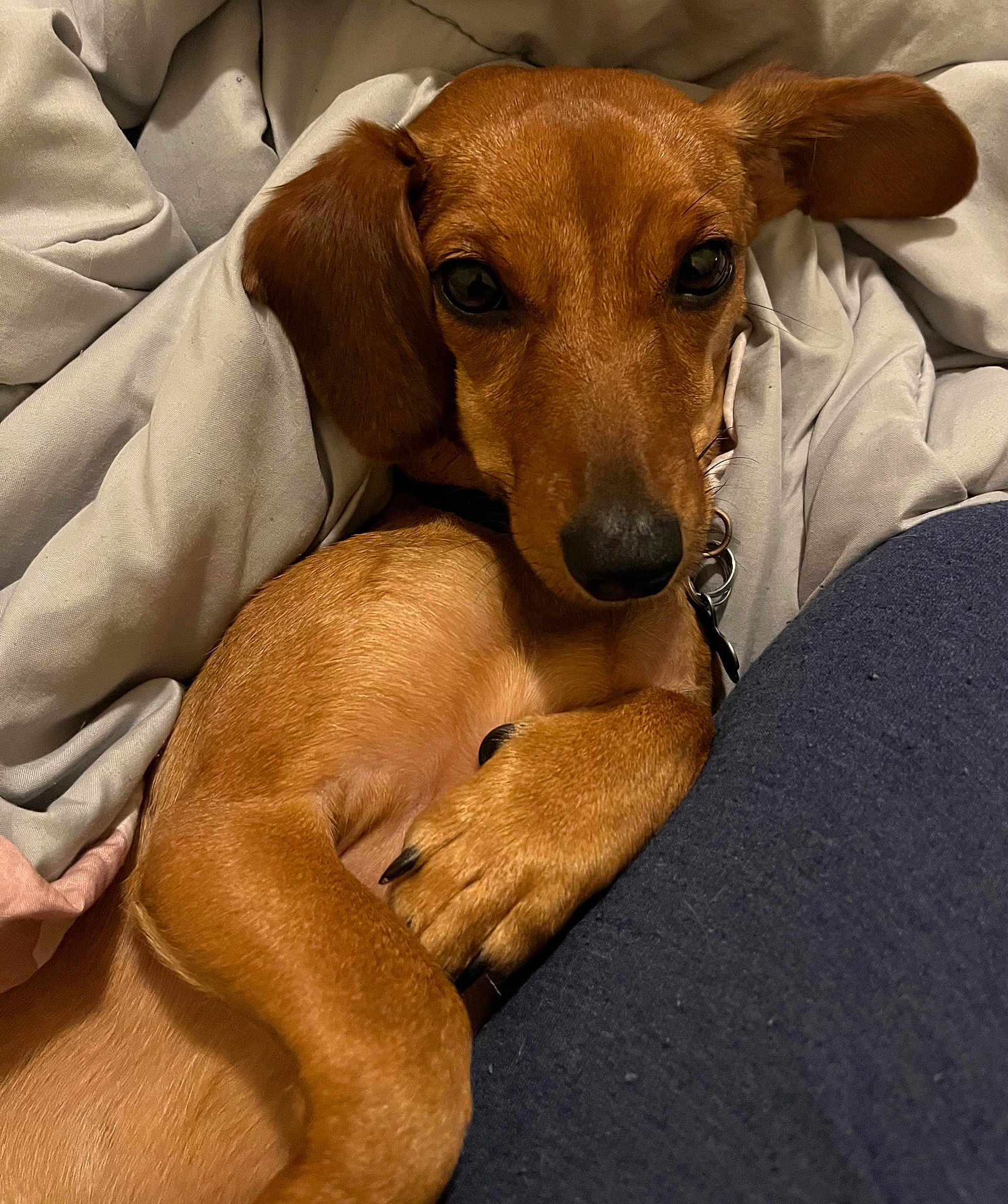 Ruby