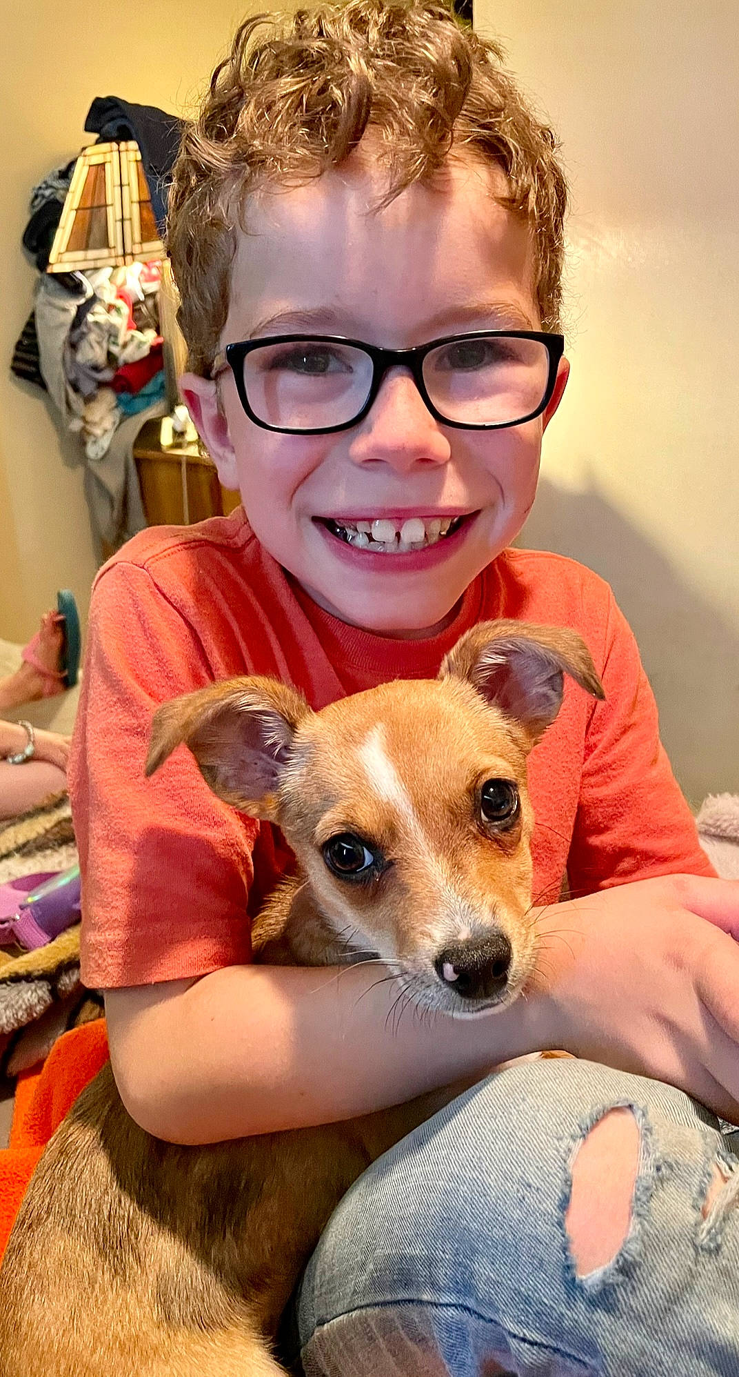 Daisy Jayne joined the competition — help win amazing prizes! canidae, cardigan_welsh_corgi, carnivore, child, companion_dog, dog, dog_breed, ear, eyewear, fawn, fun, glasses, happy, sitting, smile, snout, sporting_group, toy, toy_dog, whiskers